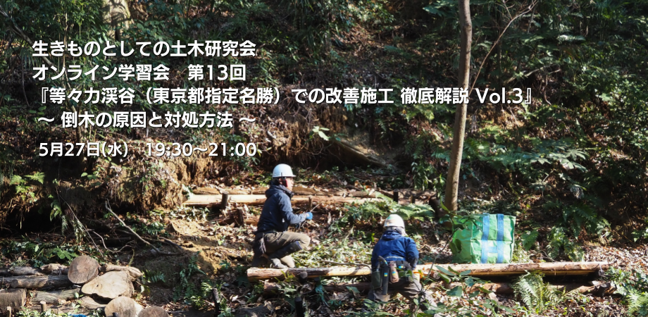 2026年5月27日開催！生きものとしての土木研究会オンライン学習会第13回『等々力渓谷（東京都指定名勝）での改善施工 徹底解説　Vol.3』～倒木の原因と対処方法～