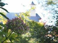 （会員寄稿）2025年10月30日、31日　新潟県妙高市にて環境改善ワークショップを行いました